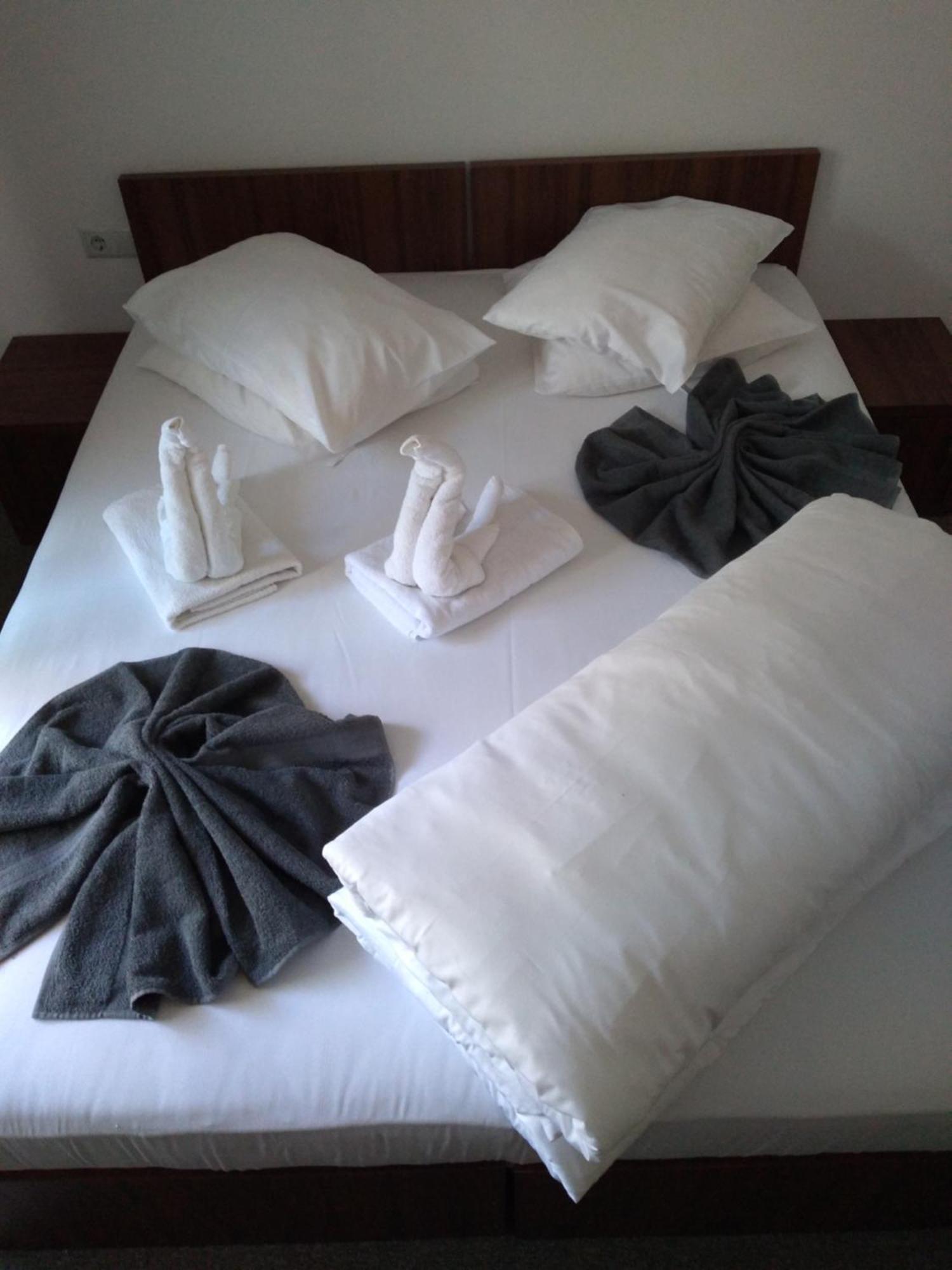 Hotel Pensiunea Floare De Colt à Băile Herculane Chambre photo